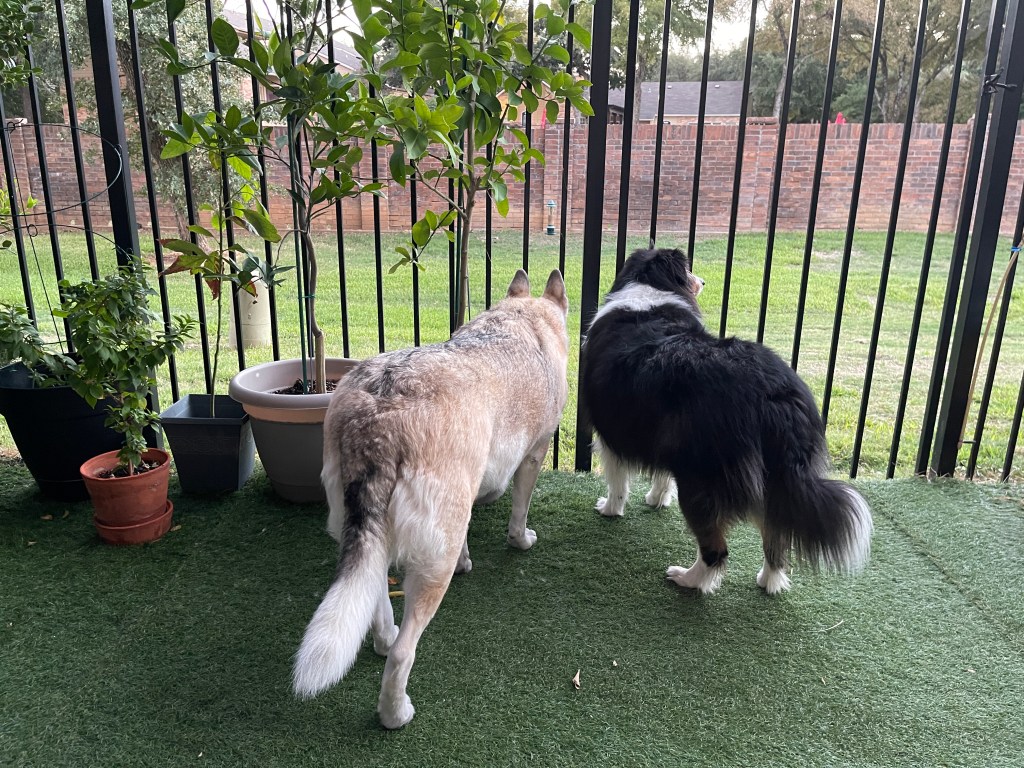 Regardless, I am in bed by 8:30pm