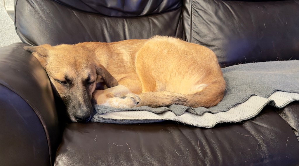 Build Your Own Air Quality Monitoring System